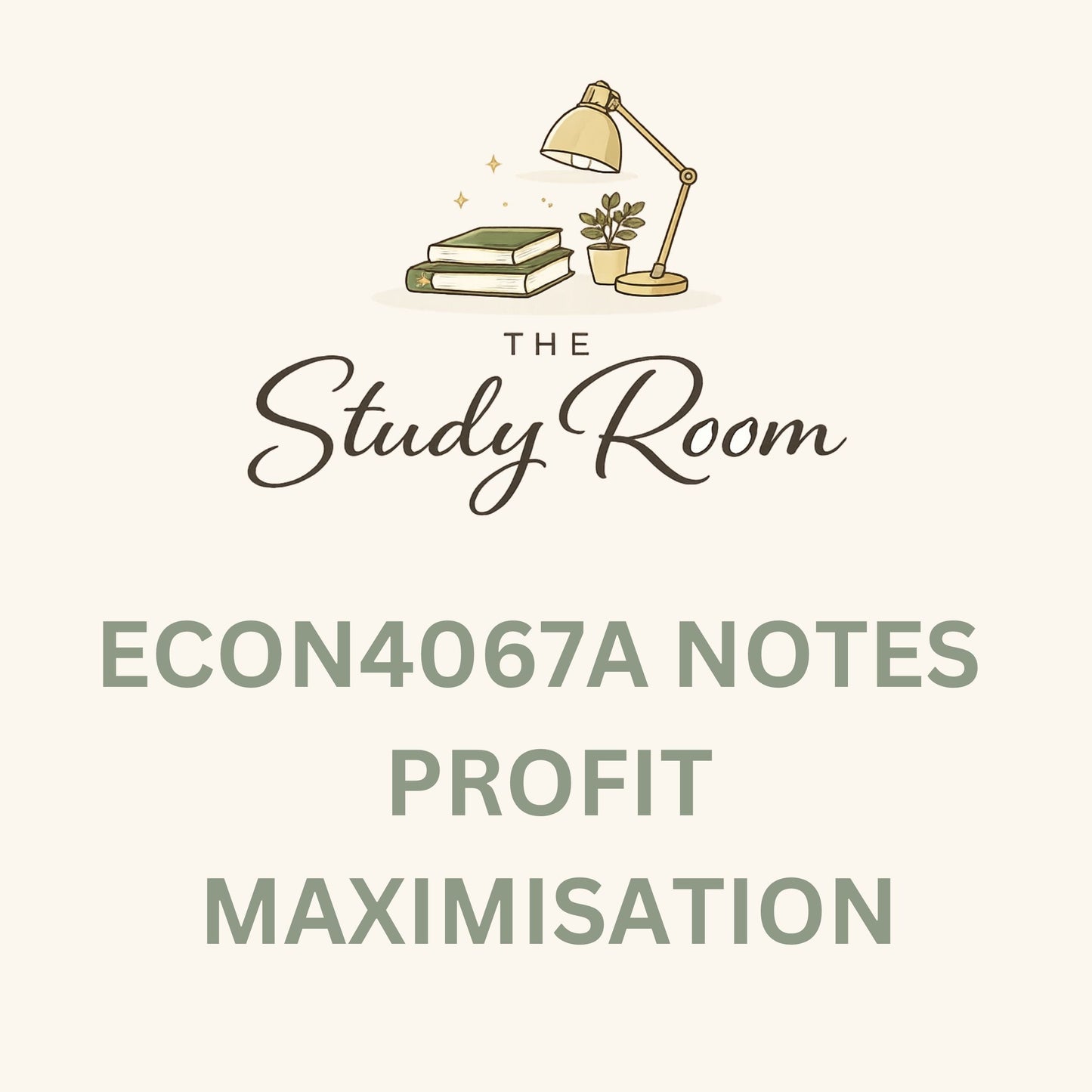 ECON4067A (THEORY) NOTES - PROFIT MAXIMISATION