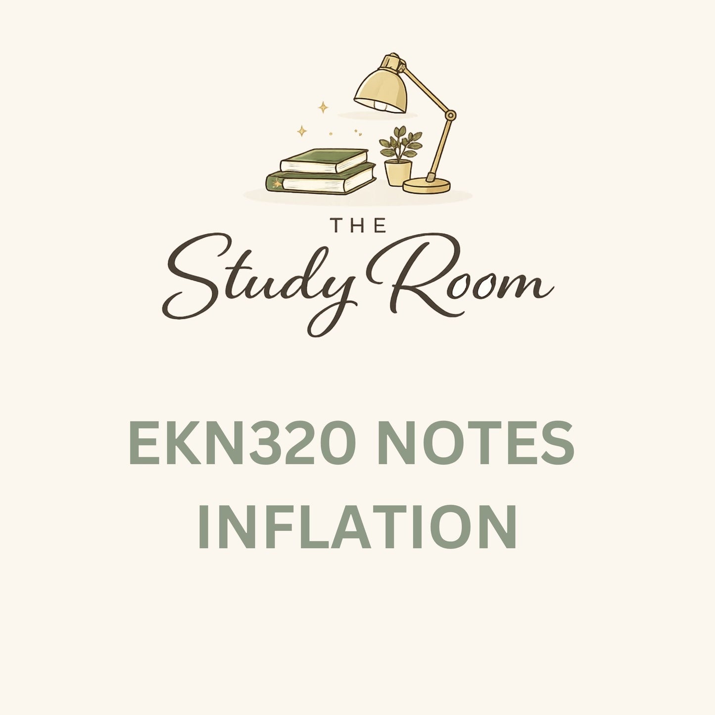 EKN320 NOTES - INFLATION