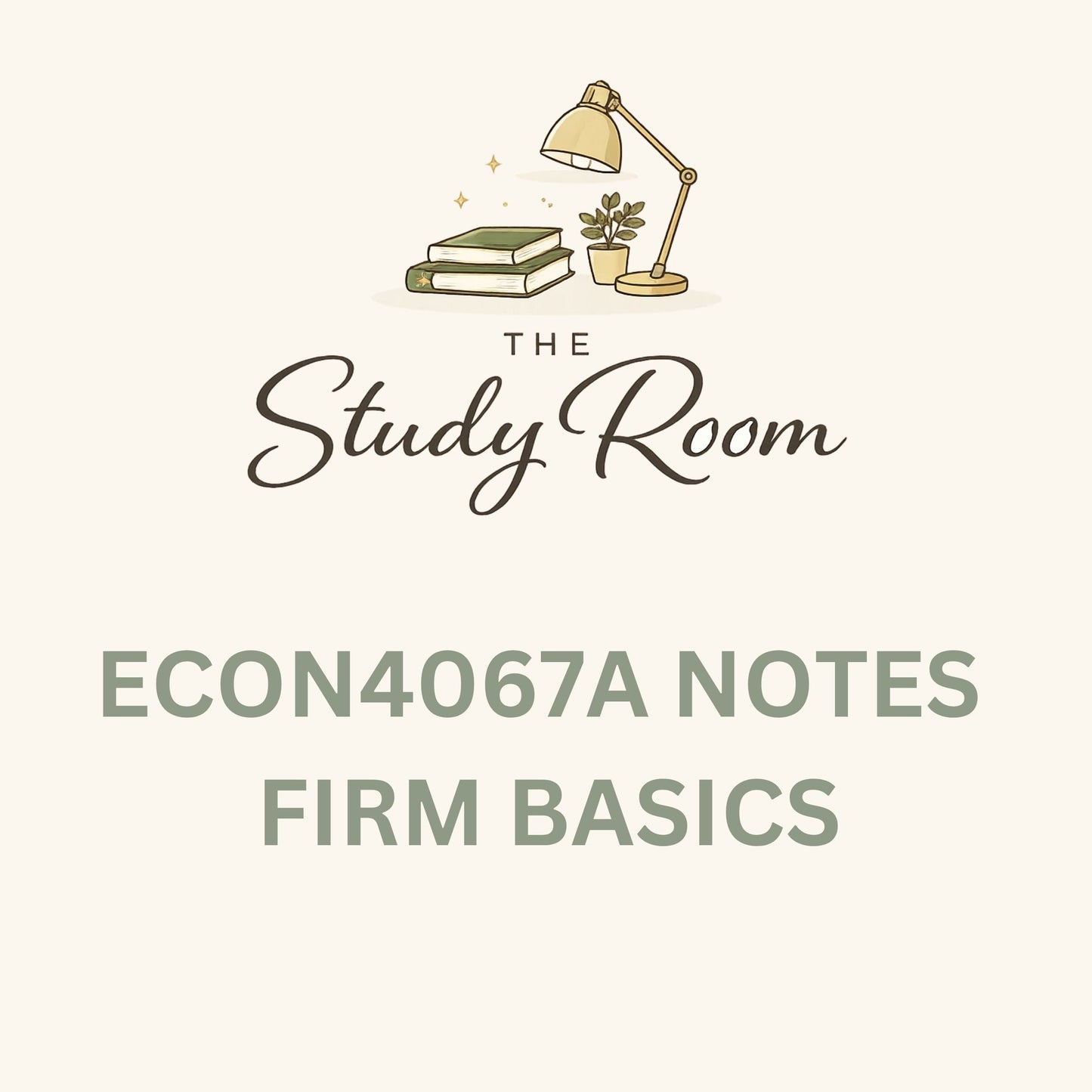 ECON4067A (THEORY) NOTES - FIRM BASICS