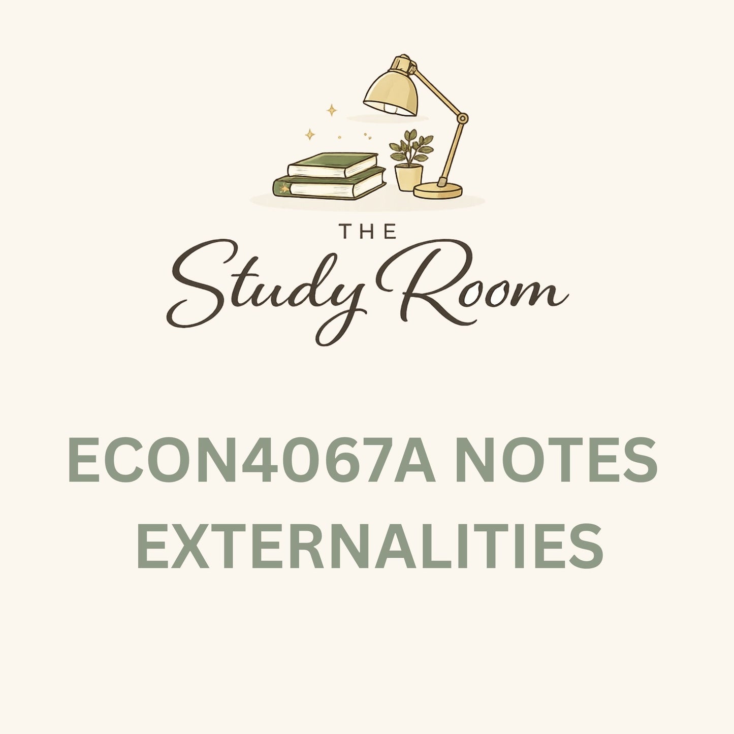 ECON4067A (APPLIED) NOTES - EXTERNALITIES