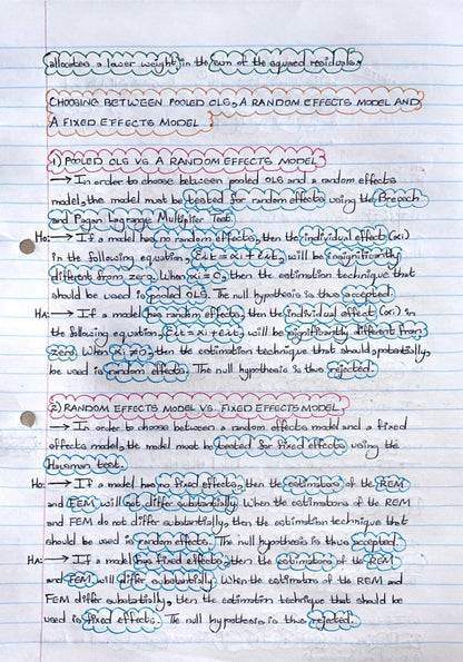 ECON4040A NOTES - PANEL DATA MODELLING